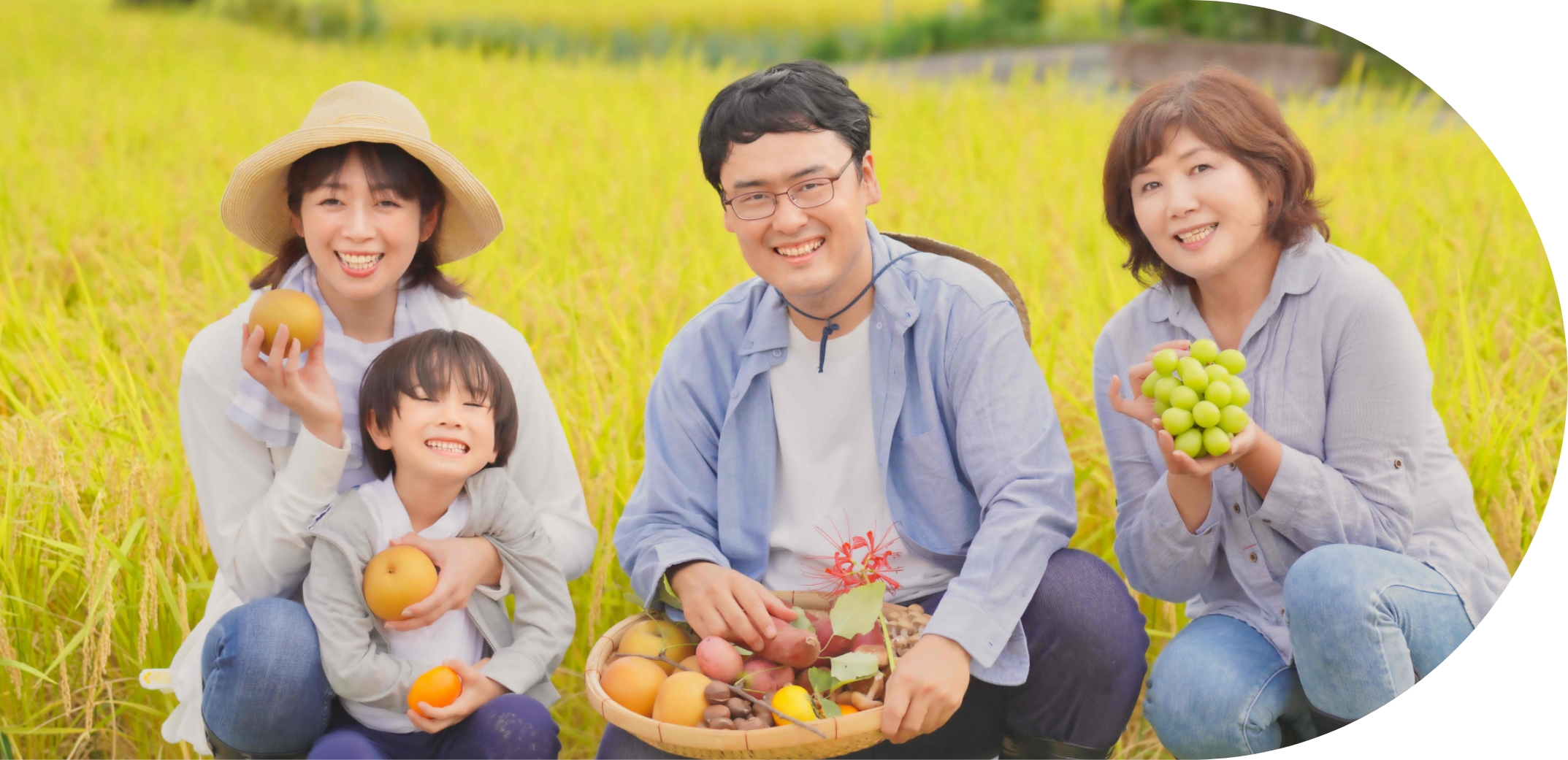 地方自治体支援事業